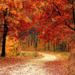 herfst